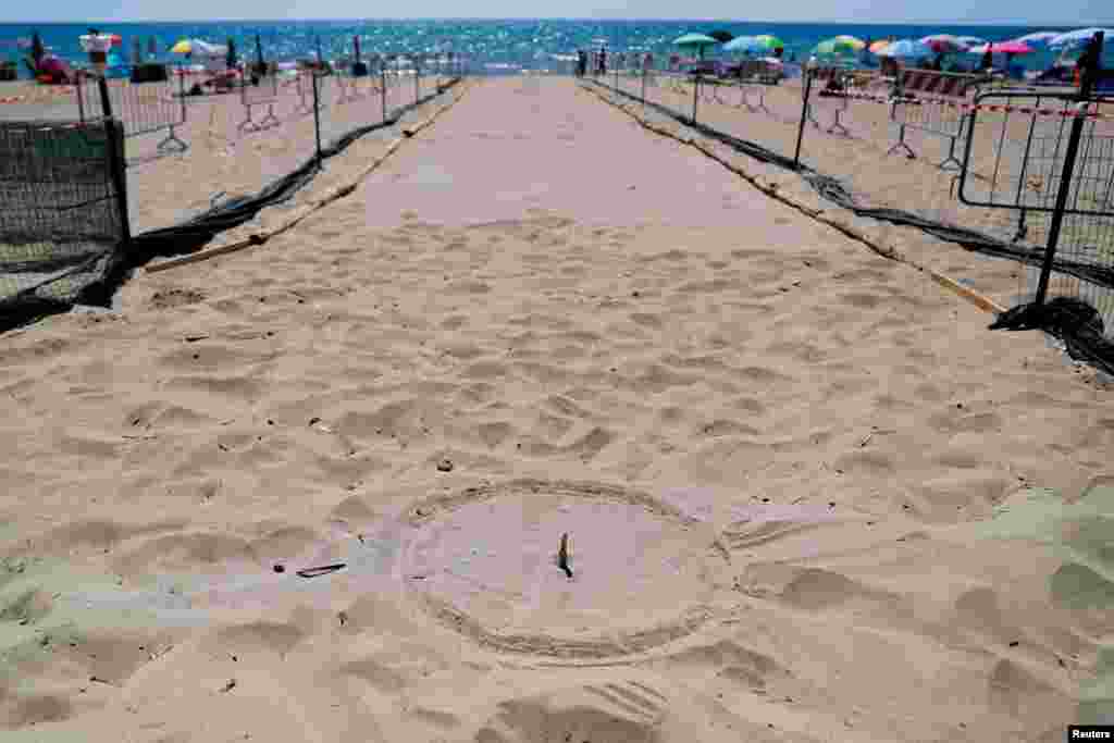 The nesting site where baby turtles are expected to hatch from their eggs and make their way out to the Mediterranean sea is seen at Torvaianica beach, near Rome, Italy.