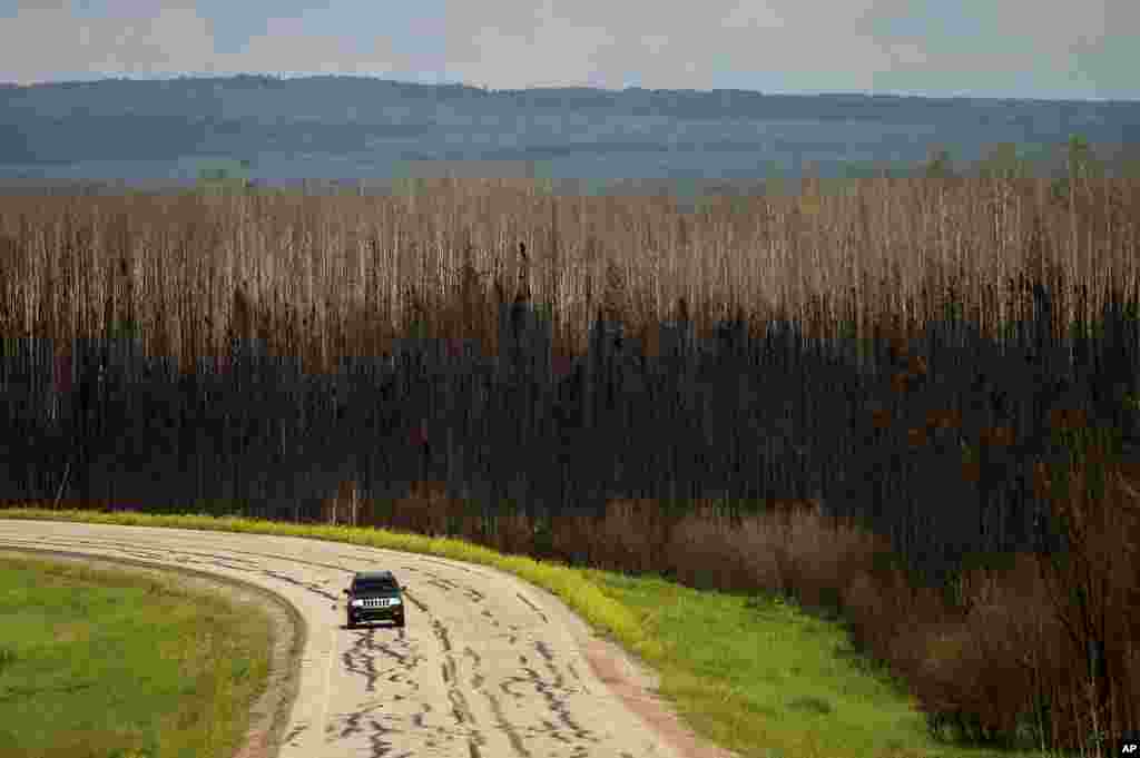 A car drives past scorched trees in the East Prairie Metis Settlement, Alberta, Canada, July 4, 2023. The settlement, whose residents trace their ancestry to European and Indigenous people, lost 14 homes during the May wildfire, according to Chair Raymond Supernault.