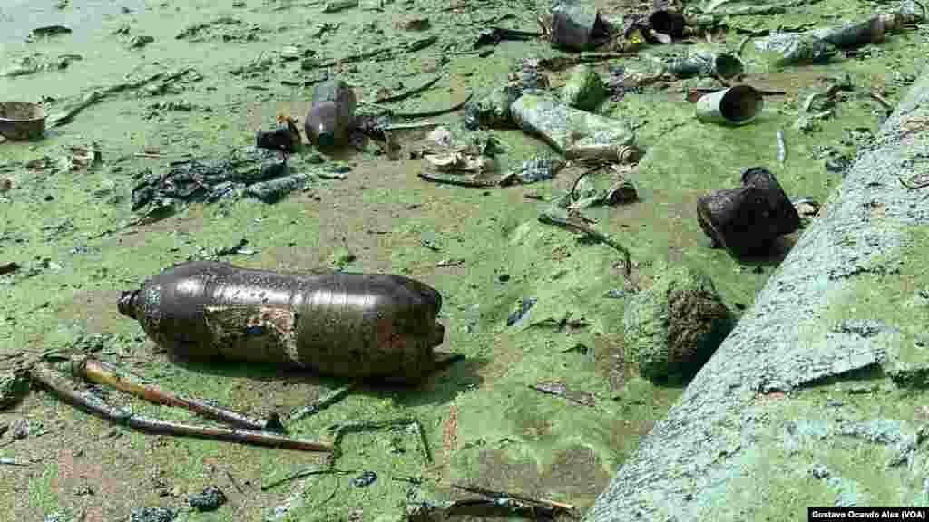 Cientos de botellas de plástico, muchas de ellas llenas de petróleo, llegan a las orillas del norte del Lago de Maracaibo, en Venezuela.