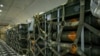 FILE - Pallets of ammunition, bound for Ukraine, are secured inside a commercial aircraft during a security assistance mission at Dover Air Force Base, Delaware, Jan. 13, 2023. 