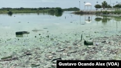 Vista general de una de las playas de la costa norte del Lago de Maracaibo, detrás del Parque La Marina, donde se aprecian los altos niveles de contaminación de esas aguas, estancadas entre residuos petroleros, químicos y plásticos, además con una bacteria llamada "verdín".