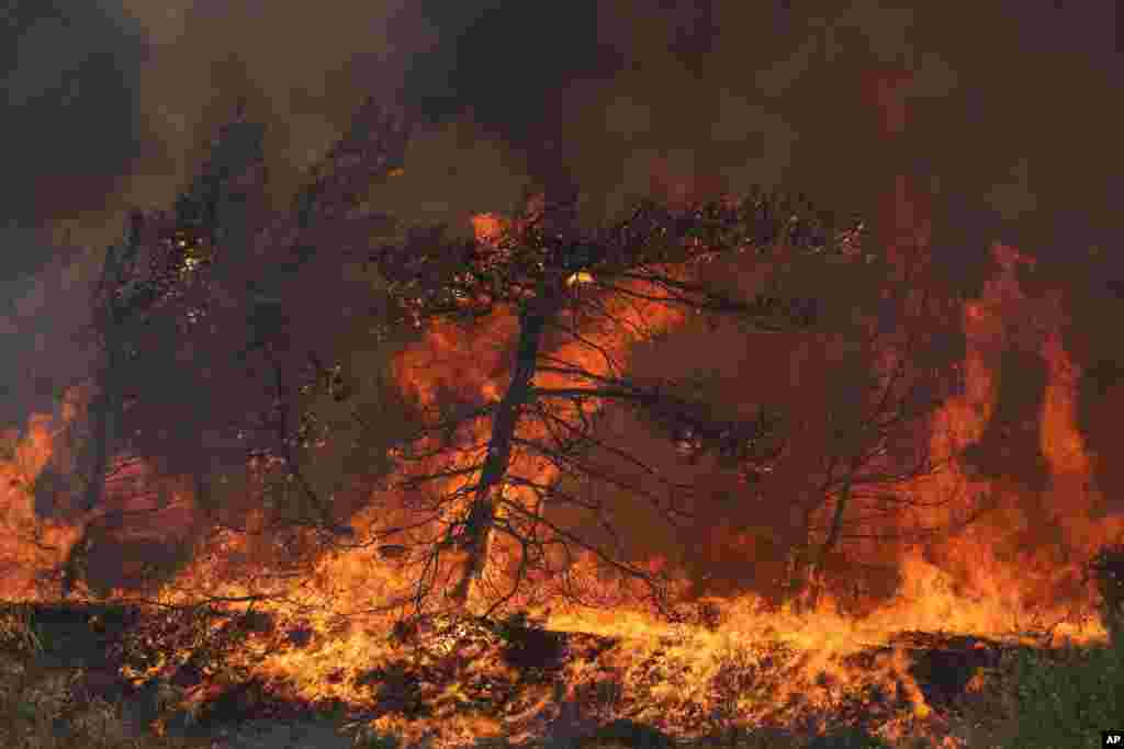 Flames burn a forest in Vati village, on the Aegean Sea island of Rhodes, in Greece. A third successive heat wave in Greece pushed temperatures back above 104° F across parts of the country, following more nighttime evacuations from fires that have raged out of control for days.