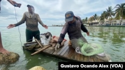 Abel Payares (izquierda) y Pablo Navarro, pescadores del Lago de Maracaibo, conversan con la VOA sobre cómo la contaminación de esas aguas afecta su oficio.
