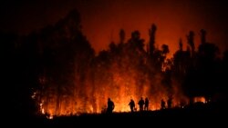 Autoridades en Chile posible negligencia alrededor de los incendios forestales

