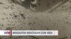 Detectan virus del Nilo en Las Vegas