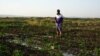 Revived dam offers Syrian farmers a lifeline