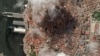 FILE - A satellite image shows Russian vessels and downtown Havana, Cuba, on June 13, 2024. New satellite images released on July 2 show work at four Cuban bases that could indicate improved intelligence capabilities connected with China. (Maxar Technologies via Reuters)