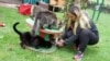 Más de 380 perros, 20 gatos y un burro conforman la familia de Animalove, una fundación que busca expandirse por Norteamérica. [Foto: Federico Buelvas, VOA]