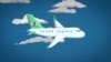 Airlines Look to Fuel Planes With Plants. But Should They?