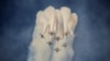 16x9 Image