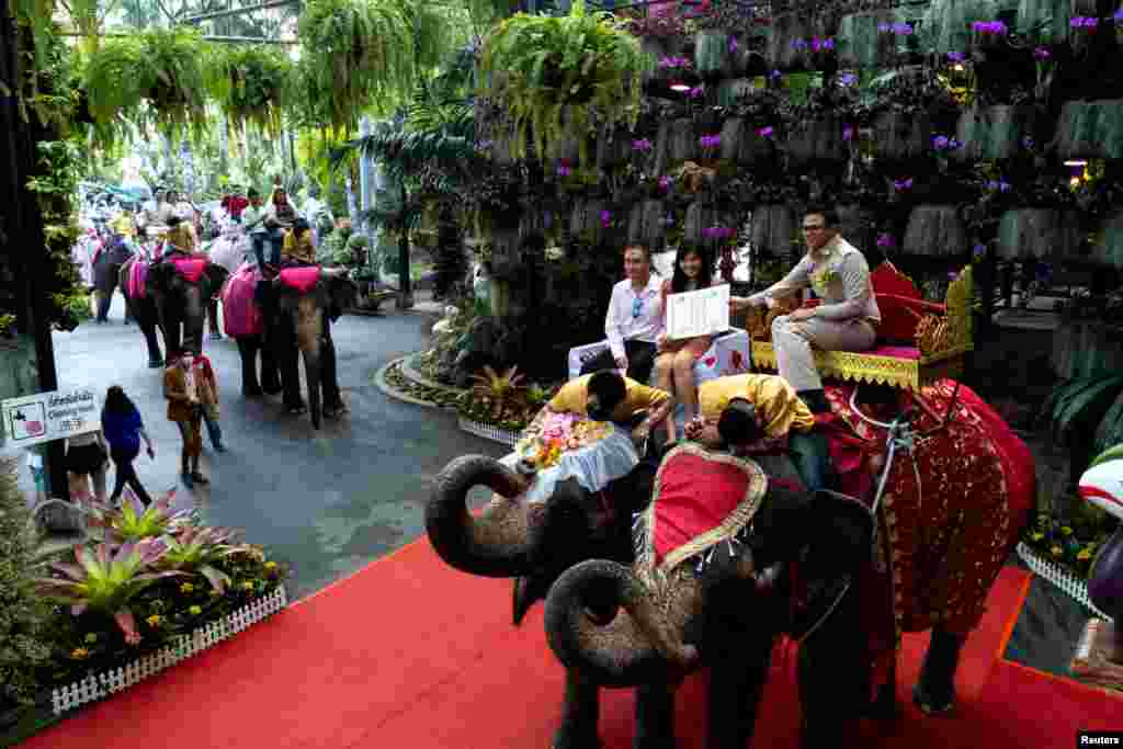 A couple receives their marriage license from an officer on Valentine's Day, at the Nong Nooch Tropical Garden in Chonburi, Thailand.