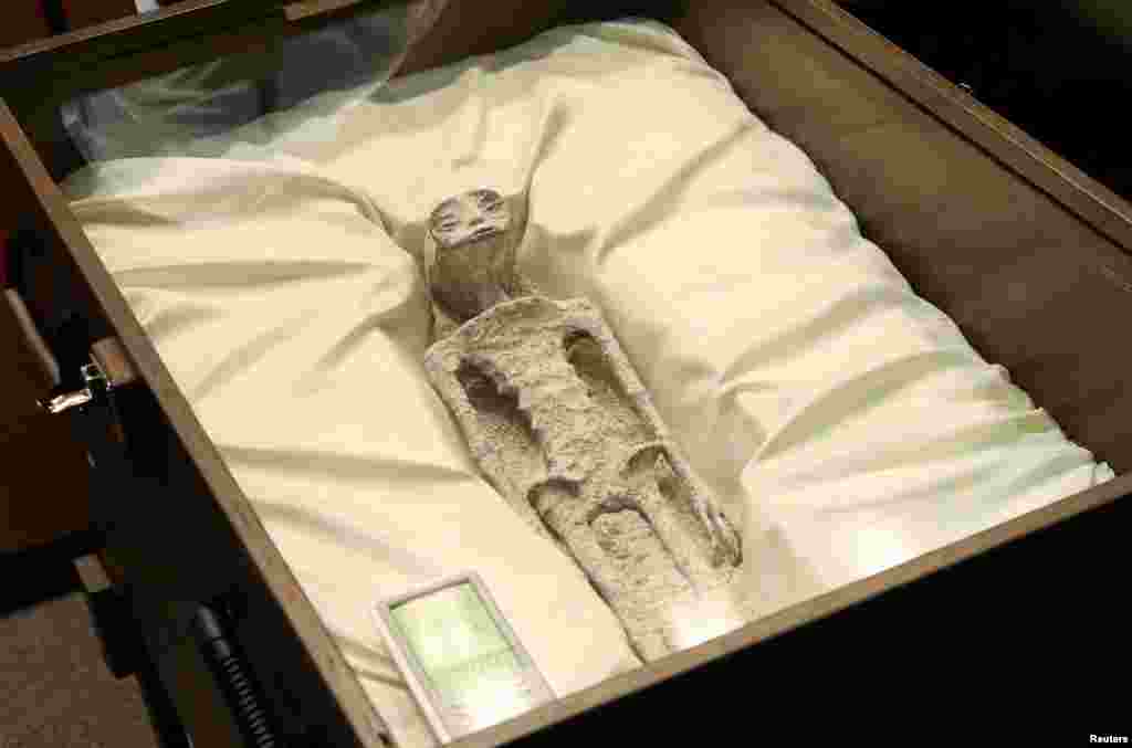 Remains of an allegedly 'non-human' being is seen on display during a briefing on unidentified flying objects, known as UFOs, at the San Lazaro legislative palace, in Mexico City, Mexico.