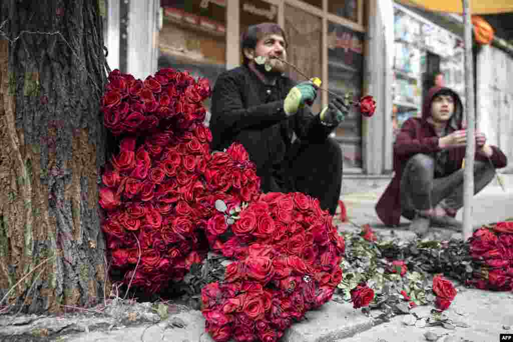 Afghan vendors selling roses wait for customers on the occasion of Valentine's Day in the Shar-e-Naw area of Kabul. Florists with wilting bouquets of red roses and street vendors clutching unsold balloons were heart-broken, after the Taliban morality police banned Valentine's Day celebrations. 