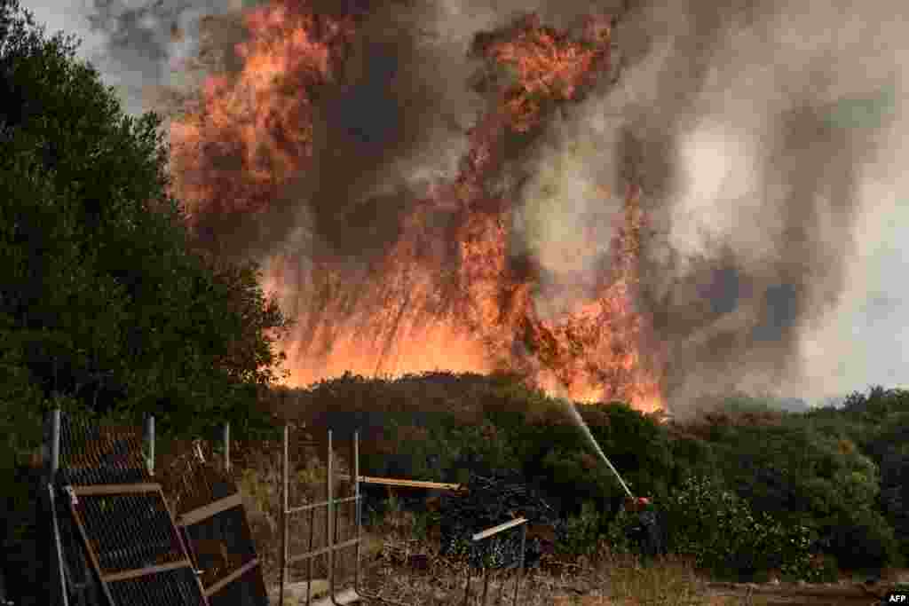 A Greek firefighter combats a forest fire spreading in Dikella near Alexandroupoli, northern Greece.