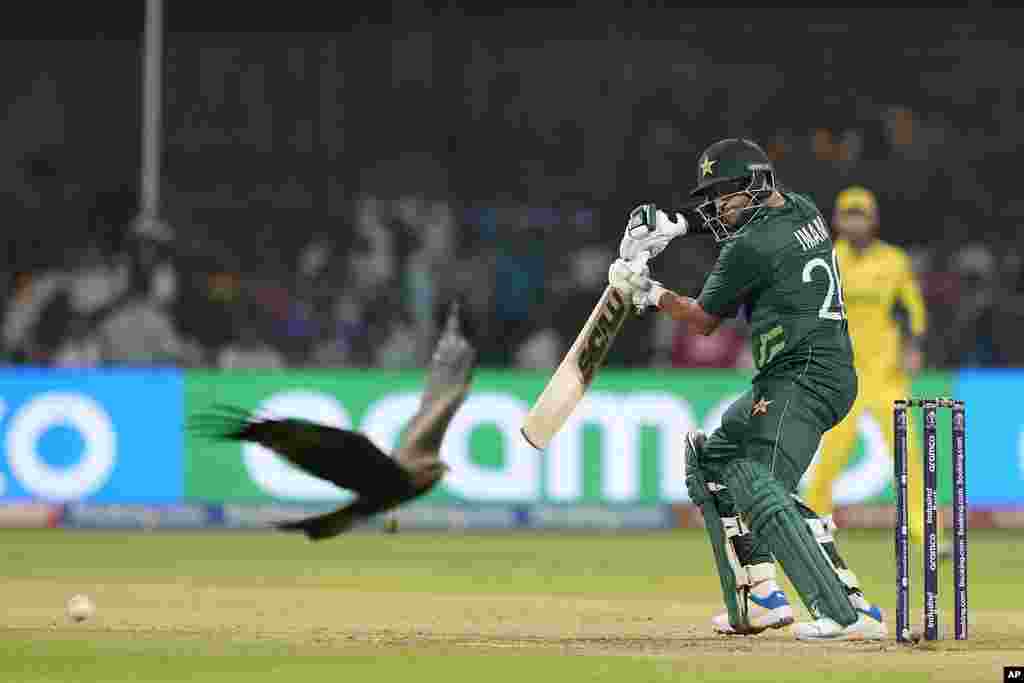 A kite flies into the ground as Pakistan's Imam-ul-Haq plays a shot during the ICC Men's Cricket World Cup match between Australia and Pakistan in Bangaluru, India.
