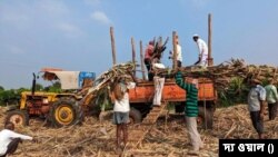 ভারতের কেন্দ্র সরকার চিনি রপ্তানিতে নিষেধাজ্ঞা জারি করতে চলেছে