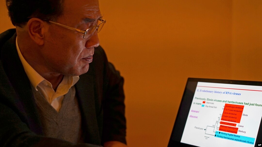 Zhang Yongzhen, the first scientist to publish a sequence of the COVID-19 virus, looks at a presentation on his laptop in a coffeeshop in Shanghai, Dec. 13, 2020.