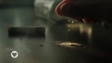 Saúde em Foco: Como nos tornamos dependentes? Como deixar de consumir drogas?
