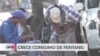 Aumenta consumo y sobredosis de fentanilo en la frontera mexicana