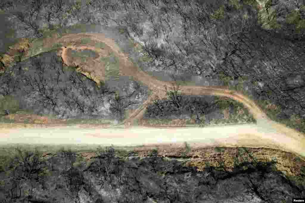 A burnt forest following a wildfire is seen near the village of Avantas in the region of Evros, Greece.