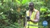 New EU Rule Targets Deforestation in Chocolate Industry 