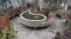 El espacio se ha convertido en un lugar rico en plantas donde llegan varias especies polinizadoras. [Foto: Johan Reyes, VOA].