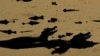 16x9 Image