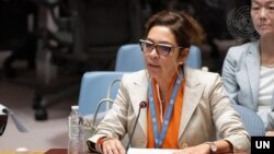 엘리자베스 살몬 유엔 북한인권특별보고관이 지난해 8월 안보리 북한 인권 회의에서 북한의 인권 상황에 대해 보고하고 있다.