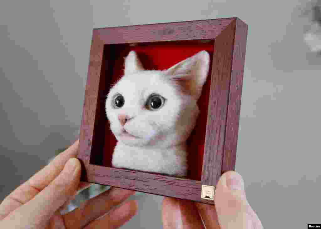 Japanese artist Sachi shows off her creation of a realistic 3D cat portrait, made by using felted wool, at her house in Sagamihara, Jan. 21, 2022.