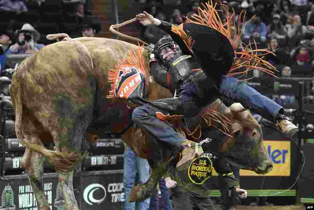 Casey Roberts of the U.S. rides "Dan's Post Night Moves" during Round 3 of the 2023 PBR Unleash the Beast Monster Energy Buck Off at the Madison Square Garden, New York, Jan. 8, 2023.