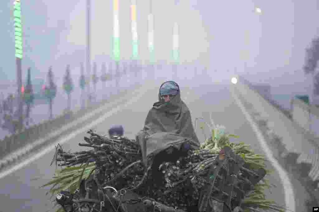 A man covers himself with a blanket and rides on a horse cart on a cold and foggy morning in Jammu, India.