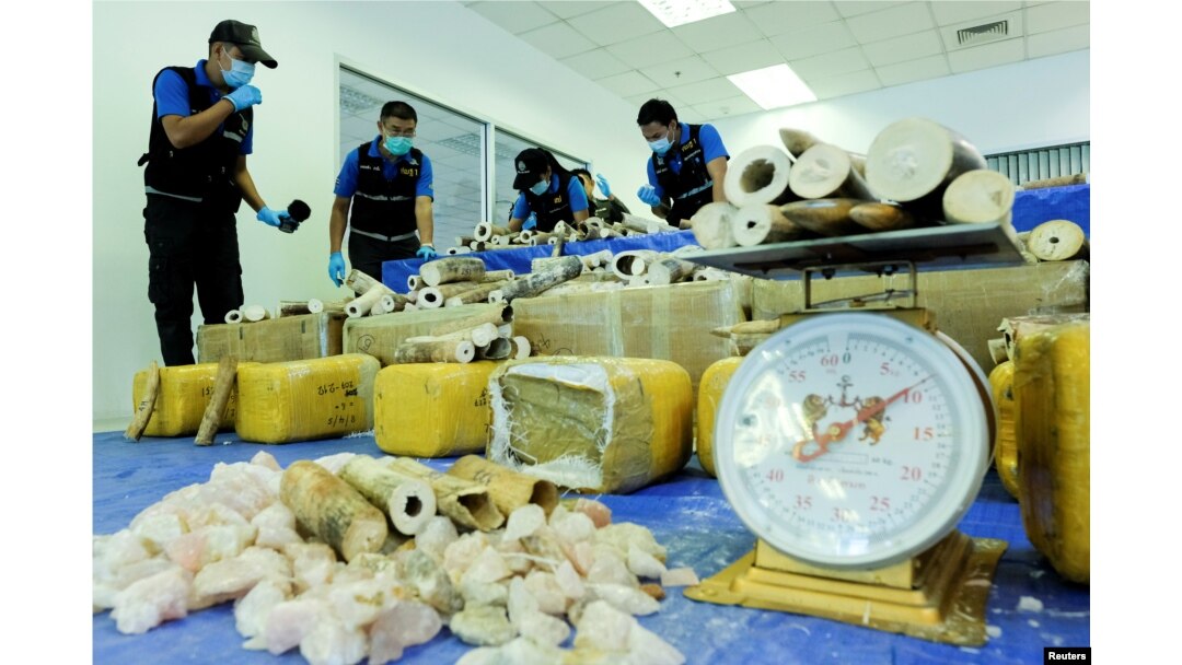 FILE - Thai forensic experts collect DNA samples from a confiscated elephant tusk, coming from Malawi, at Suvarnabhumi International Airport in Bangkok, Thailand, March 7, 2017.