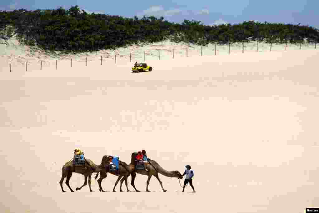 Wisatawan menunggang unta di daerah Genipabu di Natal, Timur Laut Brasil. Natal adalah salah satu kota tuan rumah turnamen sepak bola Piala Dunia 2014 di Brasil. 