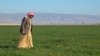 Mahdi Abu Enad, a Sunni Arab farmer, walks in a field in the northern Iraqi town of Sinjar, Feb. 5, 2019. 