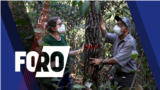 Foro: Deforestación del Amazonas ¿En punto de no retorno?