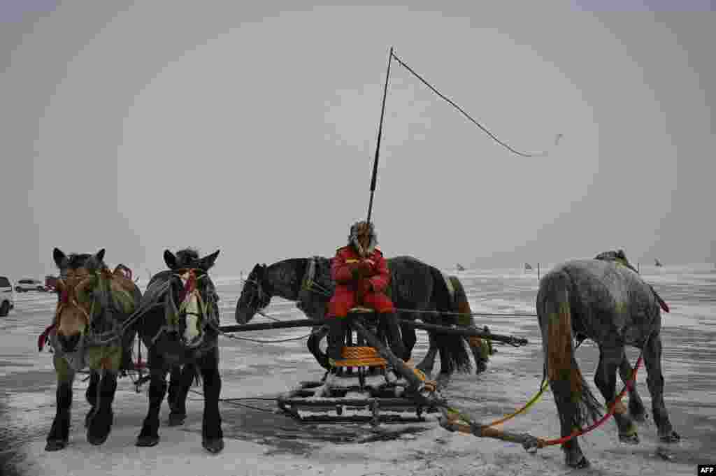 A fisherman cracks a whip as horses wheel a device linked to a fishing net during the annual Chagan Lake Winter Fishing Festival in Songyuan, in northeastern China's Jilin province.