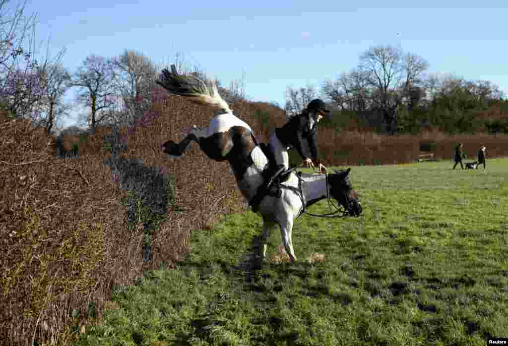 A member of the Old Surrey Burstow and West Kent Hunt jumps over a hedgerow during the annual Boxing Day hunt in Chiddingstone, Britain, Dec. 26, 2022.