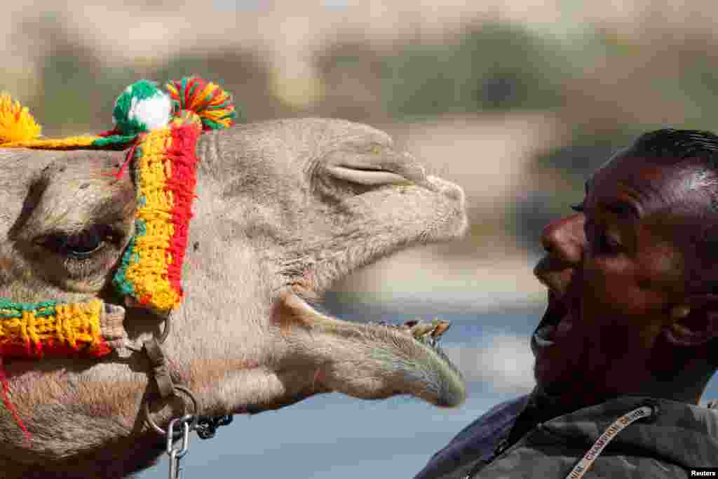 Hossam Nasser, 32, plays with his camel "Anter" in the Nubian village of Gharb Soheil, on the west bank of the Nile river in Aswan, Egypt.