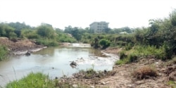 An open defecation site in Abuja close to houses. (Timothy Obiezu/VOA)