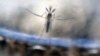South Korean Olympians to Wear Mosquito-Repellent Uniforms