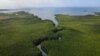 Researchers Discover World’s Largest Bacterium