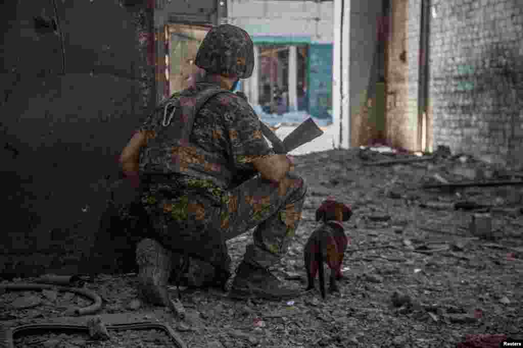 A Ukrainian service member with a dog observes in the industrial area of the city of Sievierodonetsk, Ukraine, as Russia's attack on Ukraine continues, June 20, 2022. 
