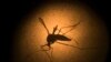 El dengue provoca una emergencia en el Perú
