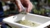 US Health Officials Issue Zika Virus Warning for Miami, Florida