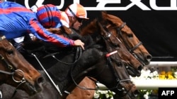 Jockey Craig Williams (R) onboard Vow and Declare wins the Melbourne Cup horse race in Melbourne on November 5, 2019. 