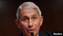 El Dr. Anthony Fauci, director del Instituto Nacional de Alergia y Enfermedades Infecciosas de EE.UU., testifica ante un panel del Senado en Washington, D.C., el martes, 30 de junio de 2020.