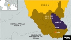 Youths in Jonglei state who responded to reports of a cattle raid near Bor ended up arresting an army soldier who was allegedly planning an attack on a nearby village. 