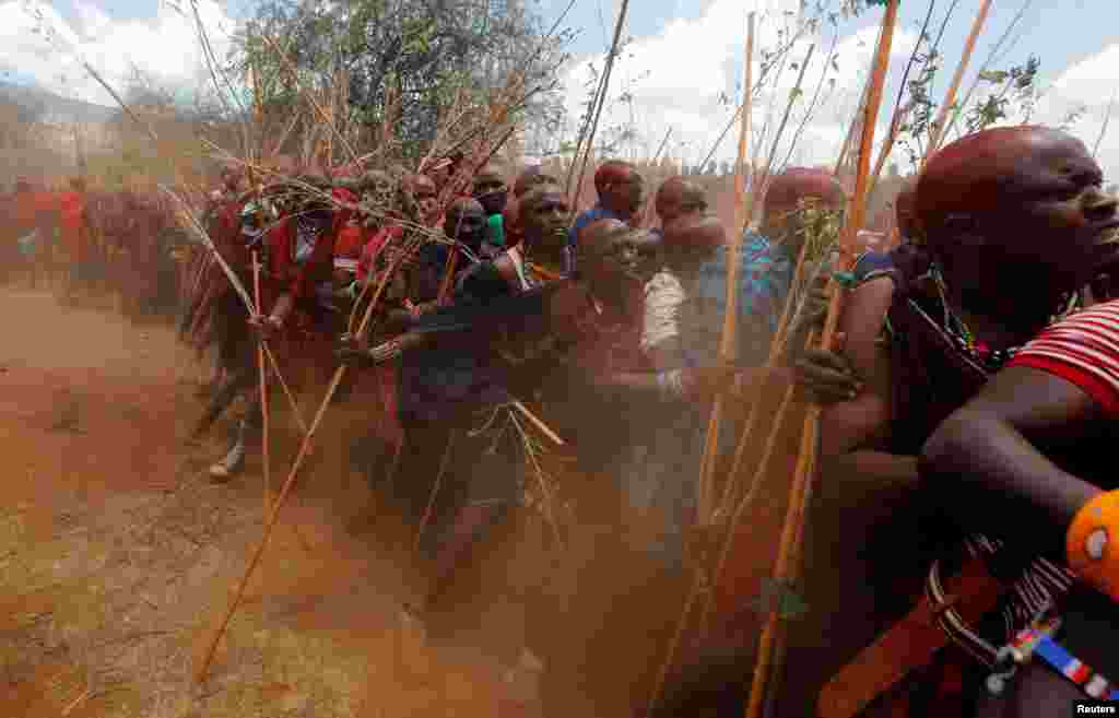 Maasai men of Matapato jostle as they attend the Olng'esherr (meat-eating) passage ceremony to unite two age-sets; the older Ilpaamu and the younger Ilaitete into senior elder-hood as the final rite of passage, in Maparasha hills of Kajiado, Kenya.