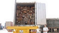 Madeireiros contra prorrogação do defeso em Moçambique