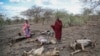 Prejuízos económicos climáticos
